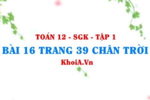 Bài 16 trang 39 Toán 12 Tập 1 Chân trời sáng tạo